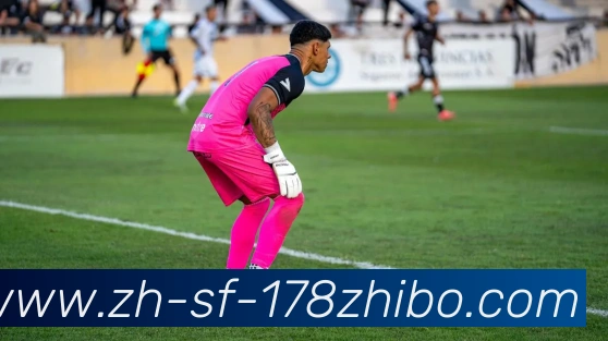 178体育直播服务体系